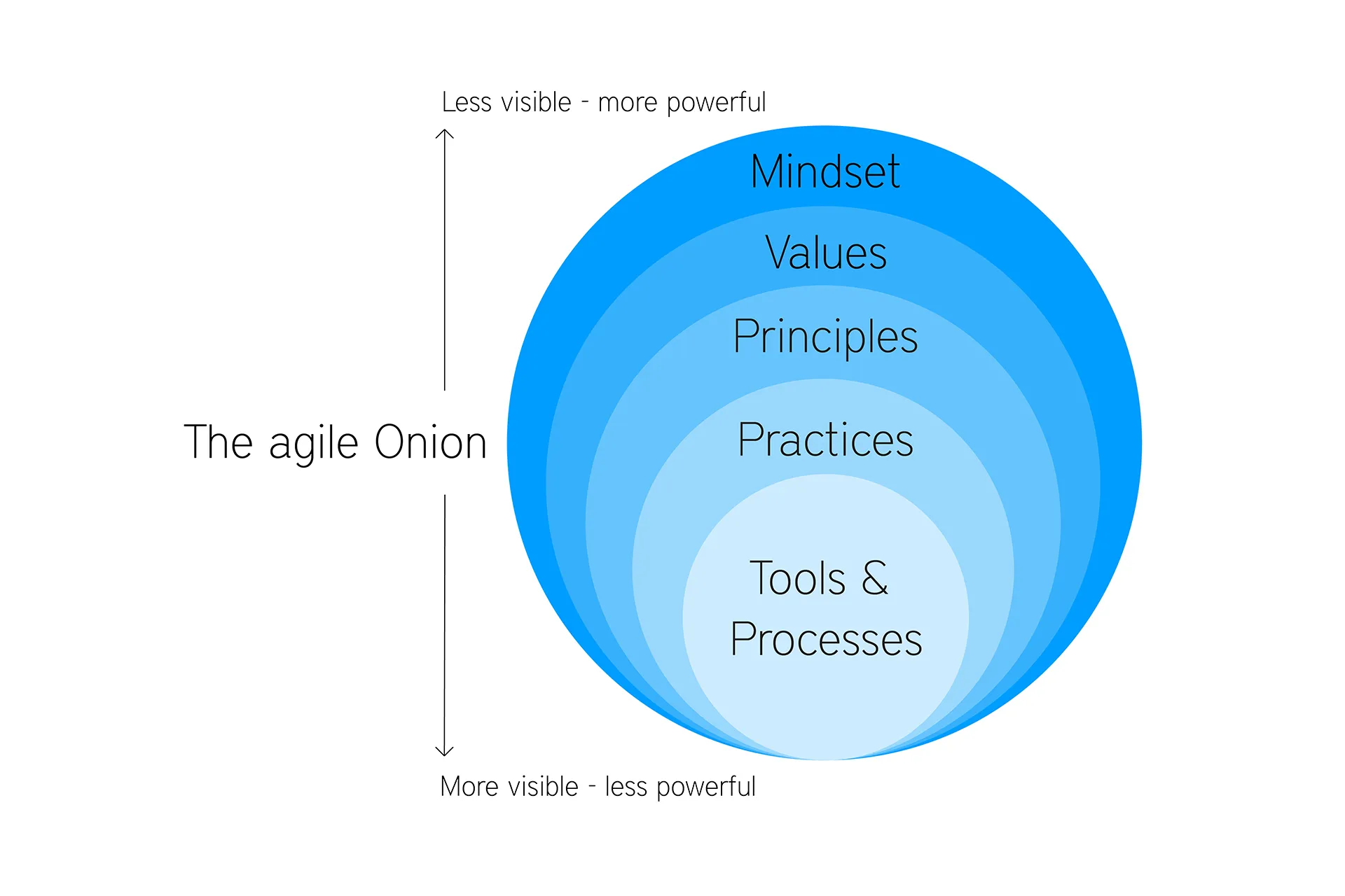 The agile Onion