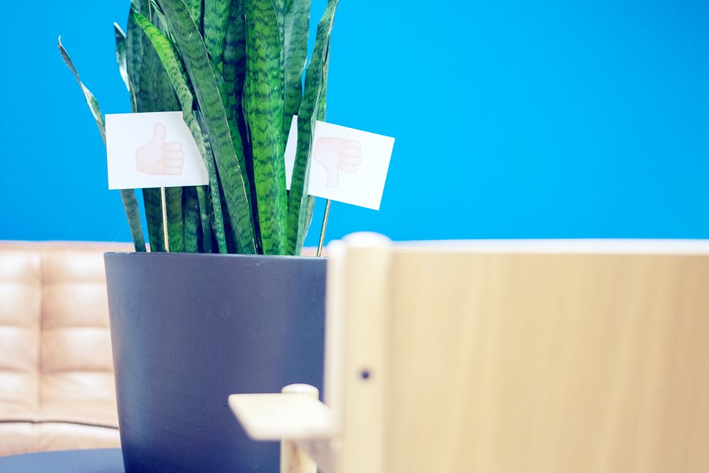 Feedback-Pflanze zu Peer-Groups