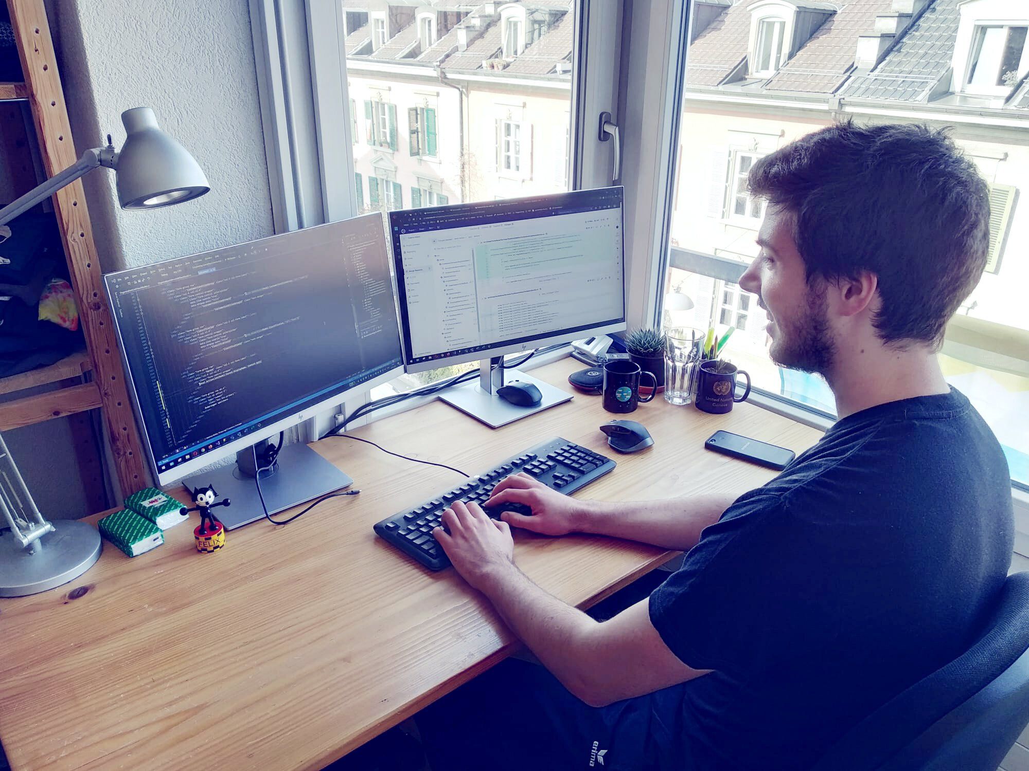 Entwickler im Homeoffice