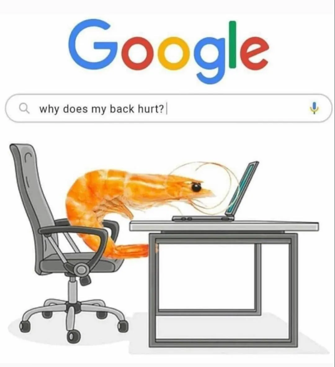 Rückenschmerzen Witz Google